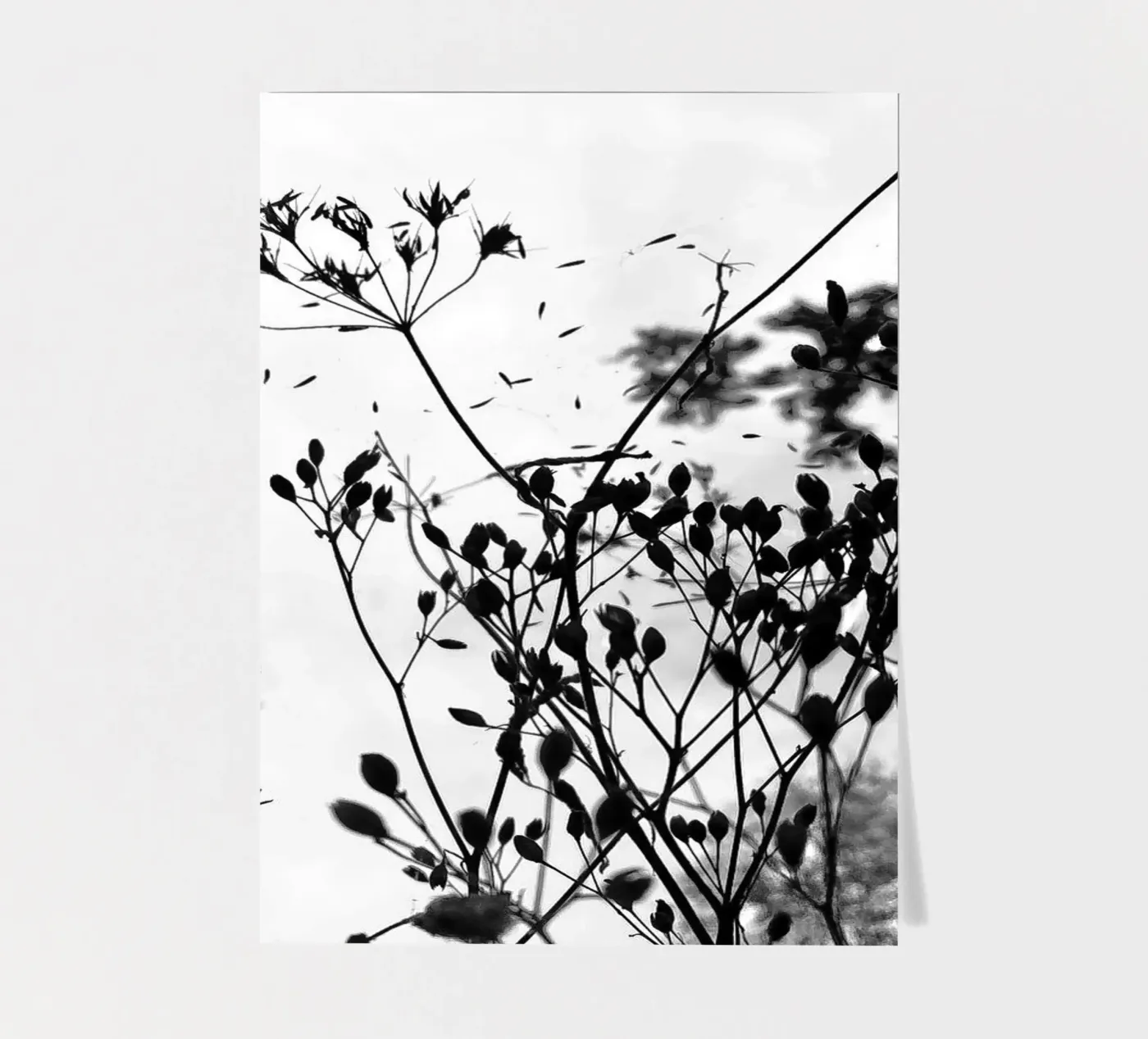 Grasses sticker sheet by SaraRosenbaum