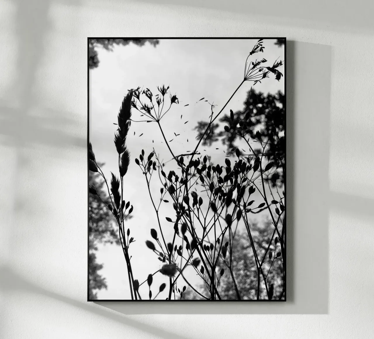 Erbe plexiglass da SaraRosenbaum