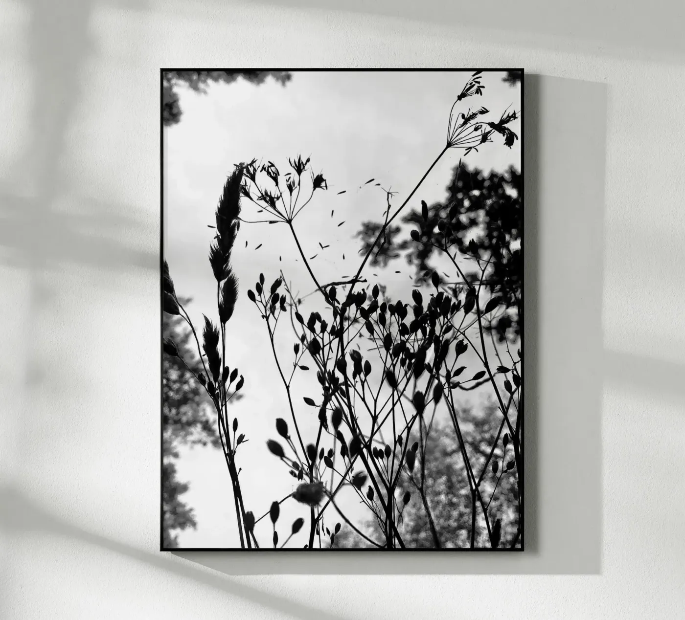 Grasses plexiglass da SaraRosenbaum