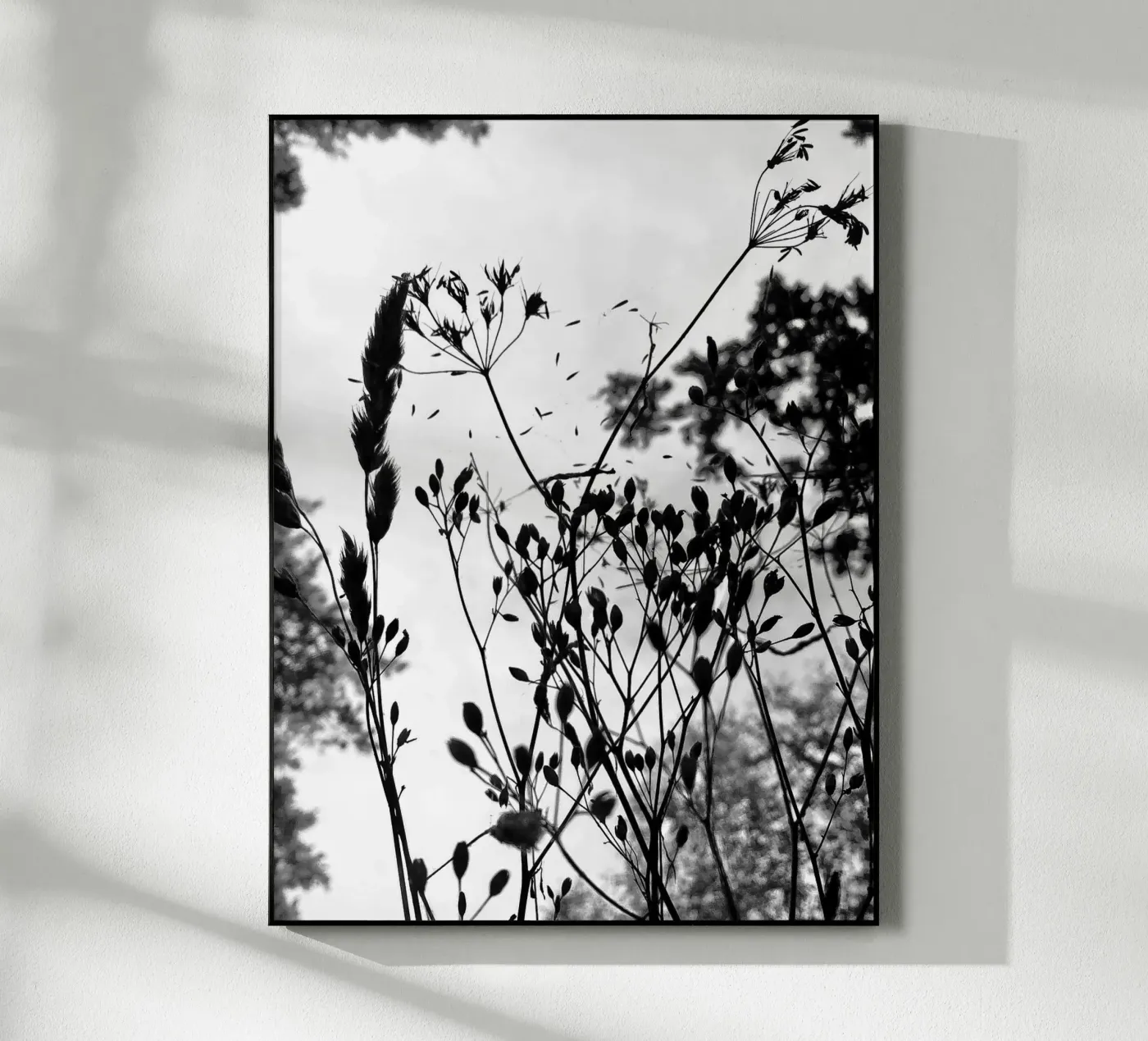 Erbe plexiglass da SaraRosenbaum