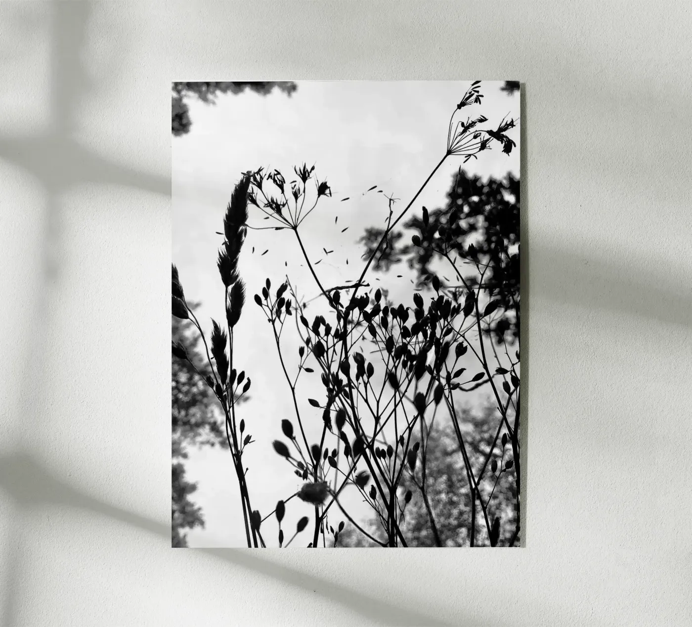 Grasses plexiglass da SaraRosenbaum