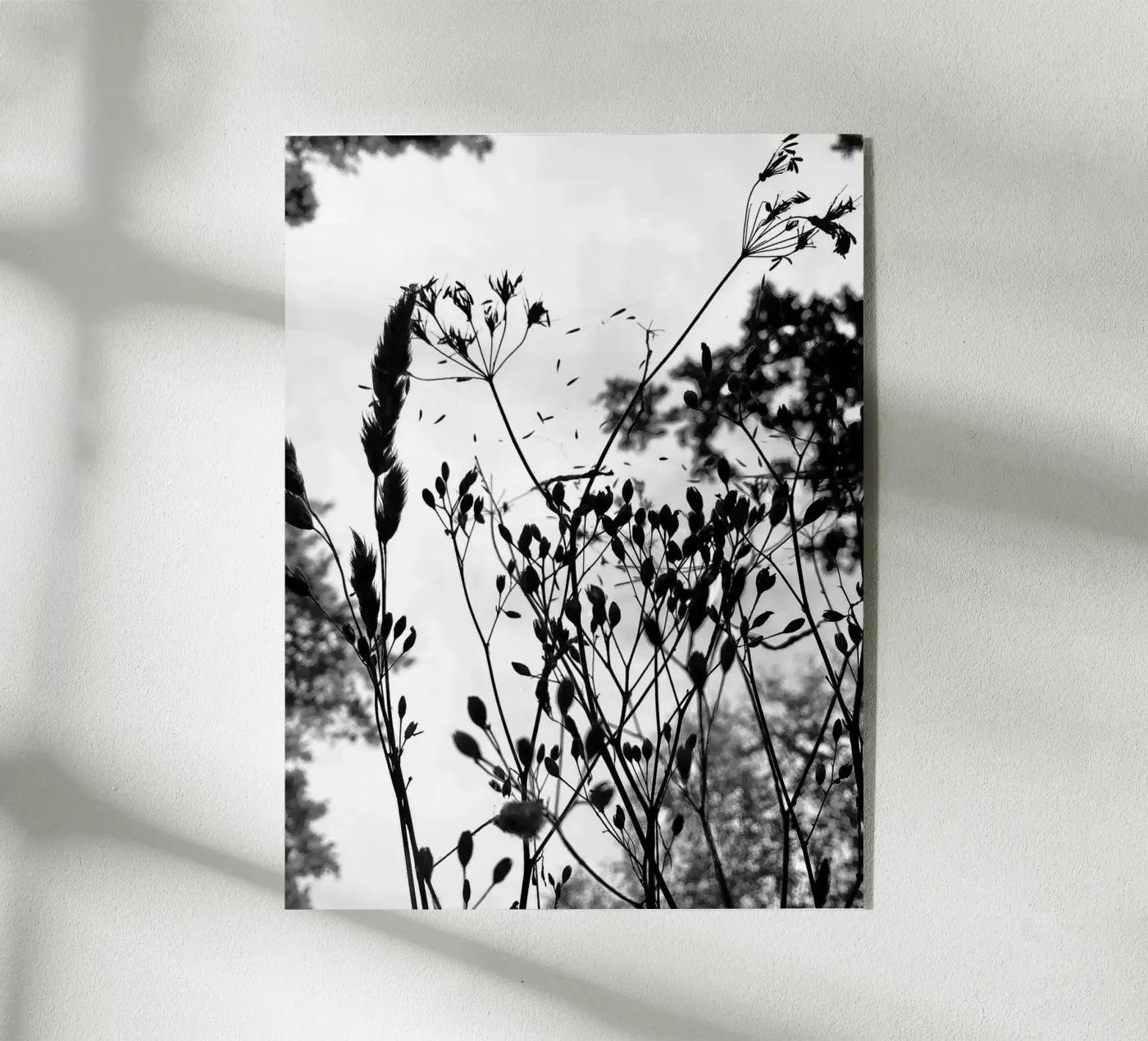 Erbe plexiglass da SaraRosenbaum