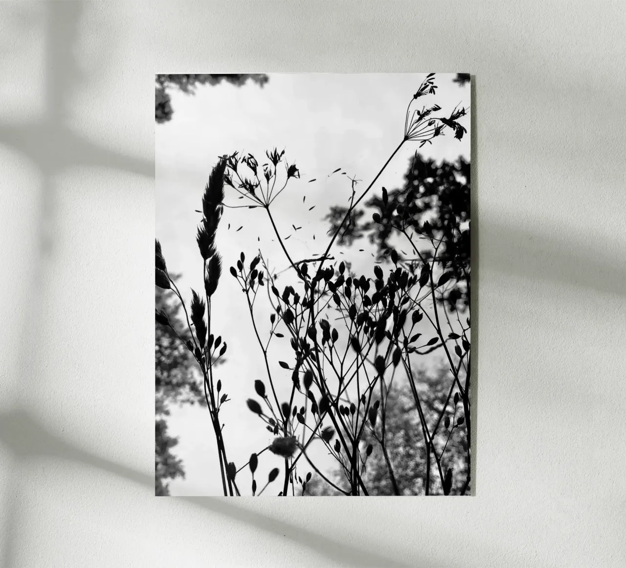 Erbe plexiglass da SaraRosenbaum