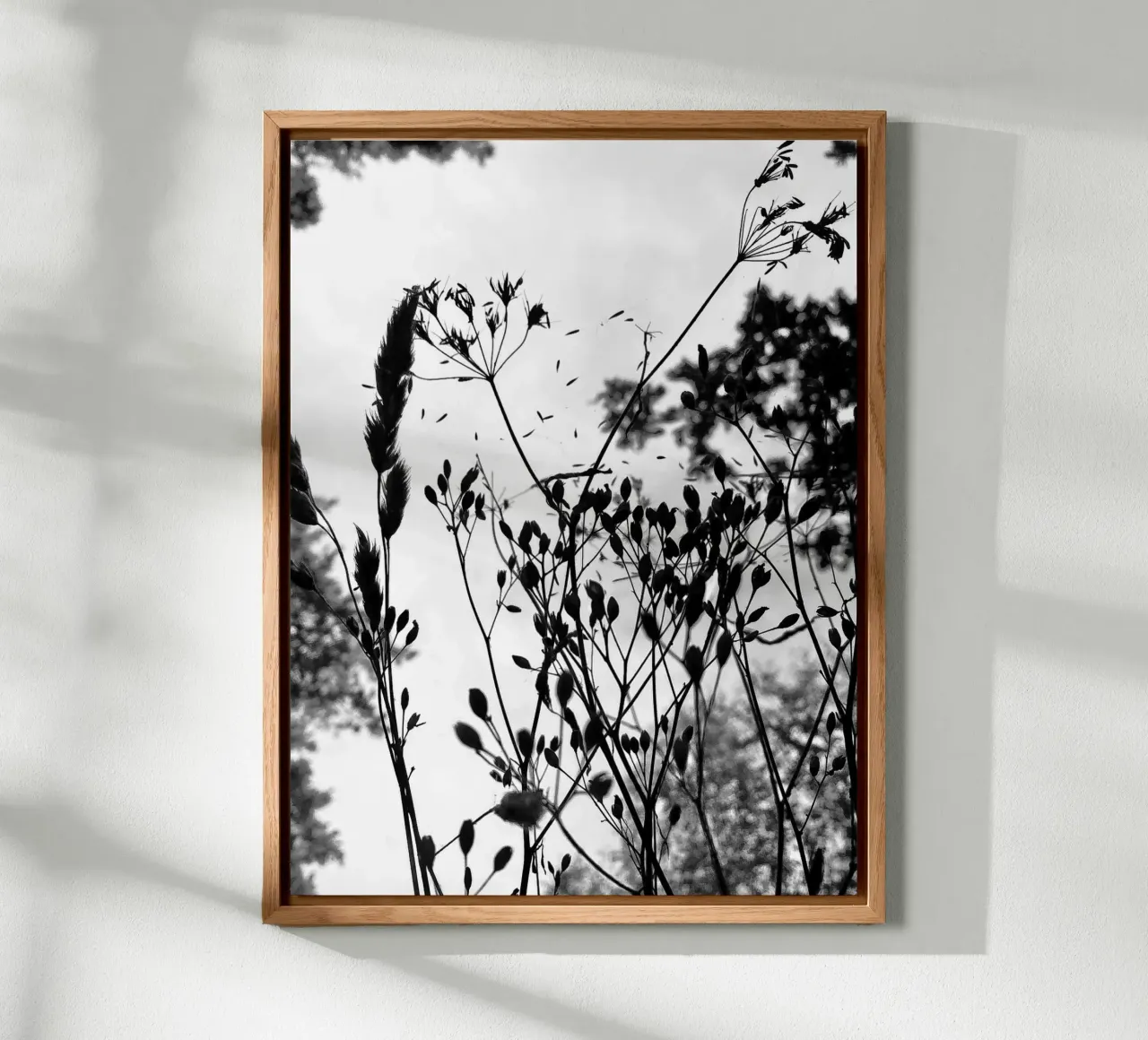 Erbe pannello forex da SaraRosenbaum