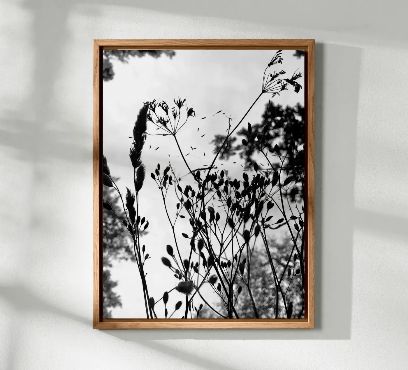 Erbe pannello forex da SaraRosenbaum