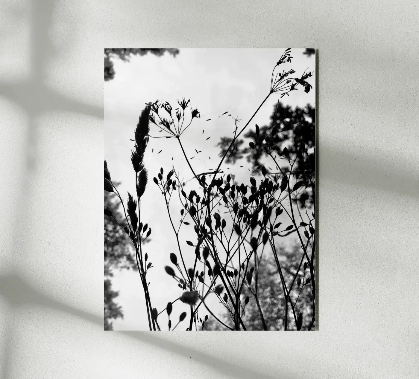 Grasses forex plate by SaraRosenbaum