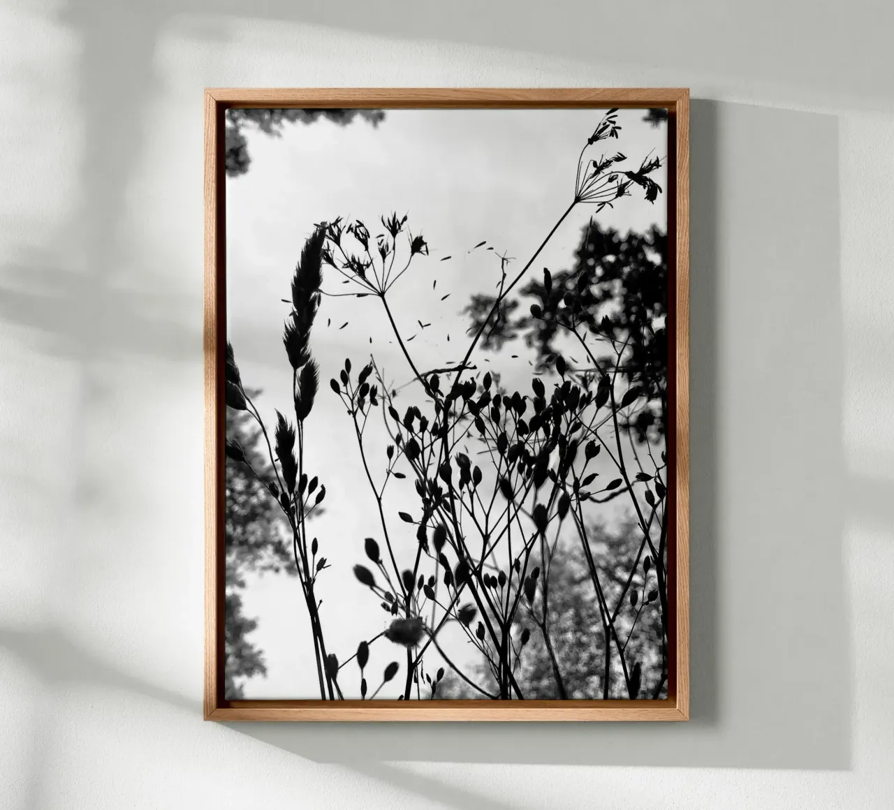 Erbe tela da SaraRosenbaum