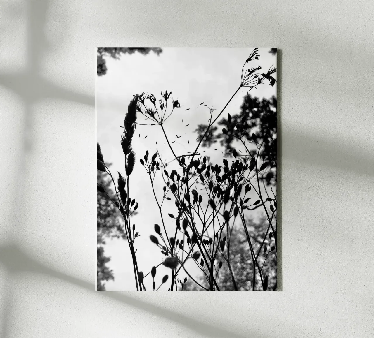 Erbe tela da SaraRosenbaum