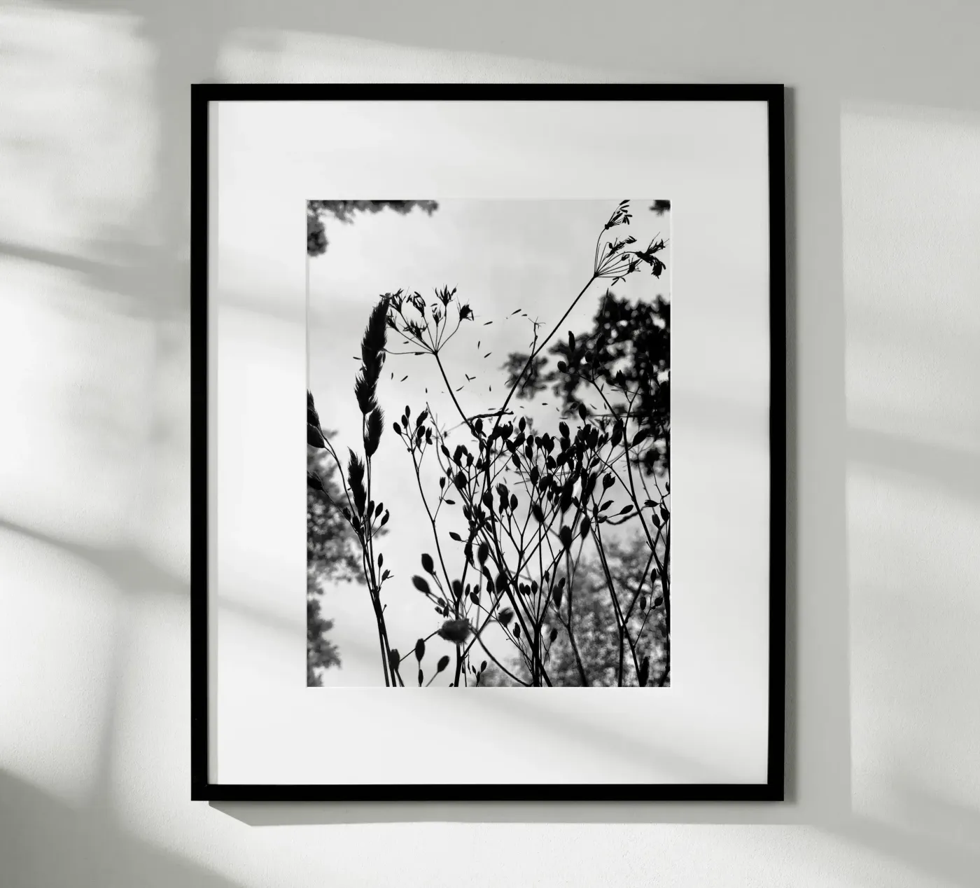 Grasses poster by SaraRosenbaum