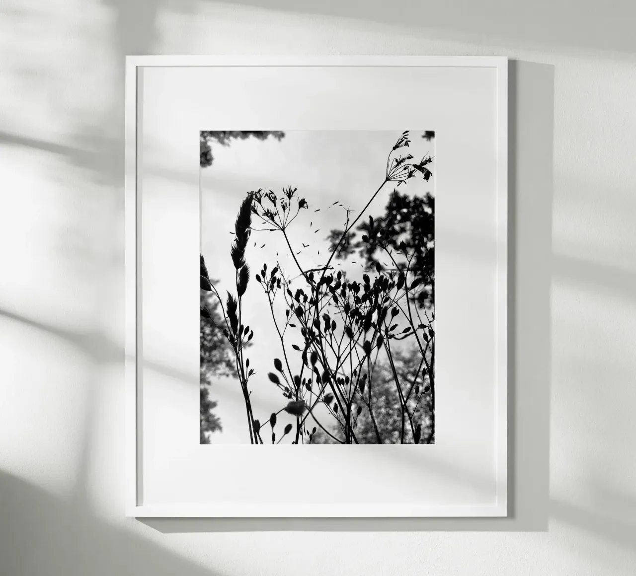 Erbe poster da SaraRosenbaum