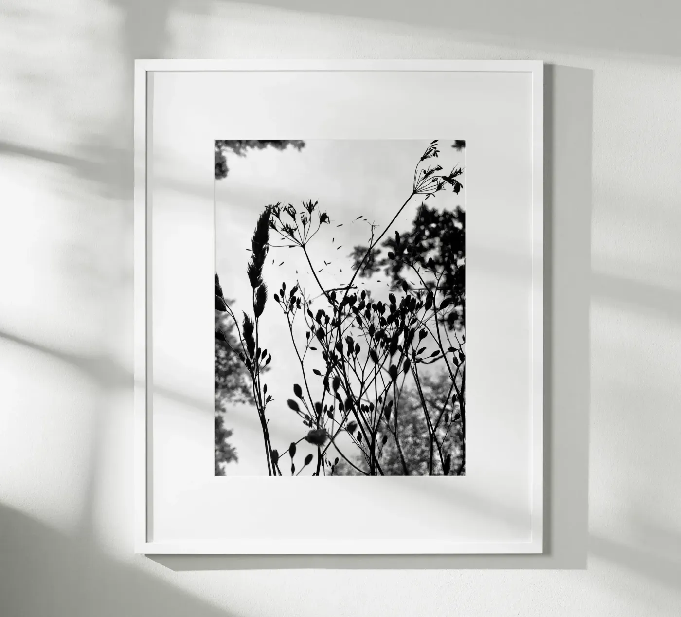 Grasses poster by SaraRosenbaum