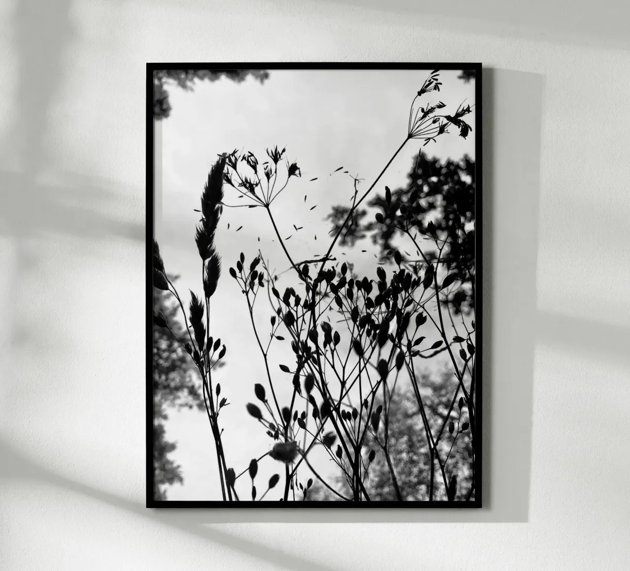 Grasses poster with plastic frame by SaraRosenbaum
