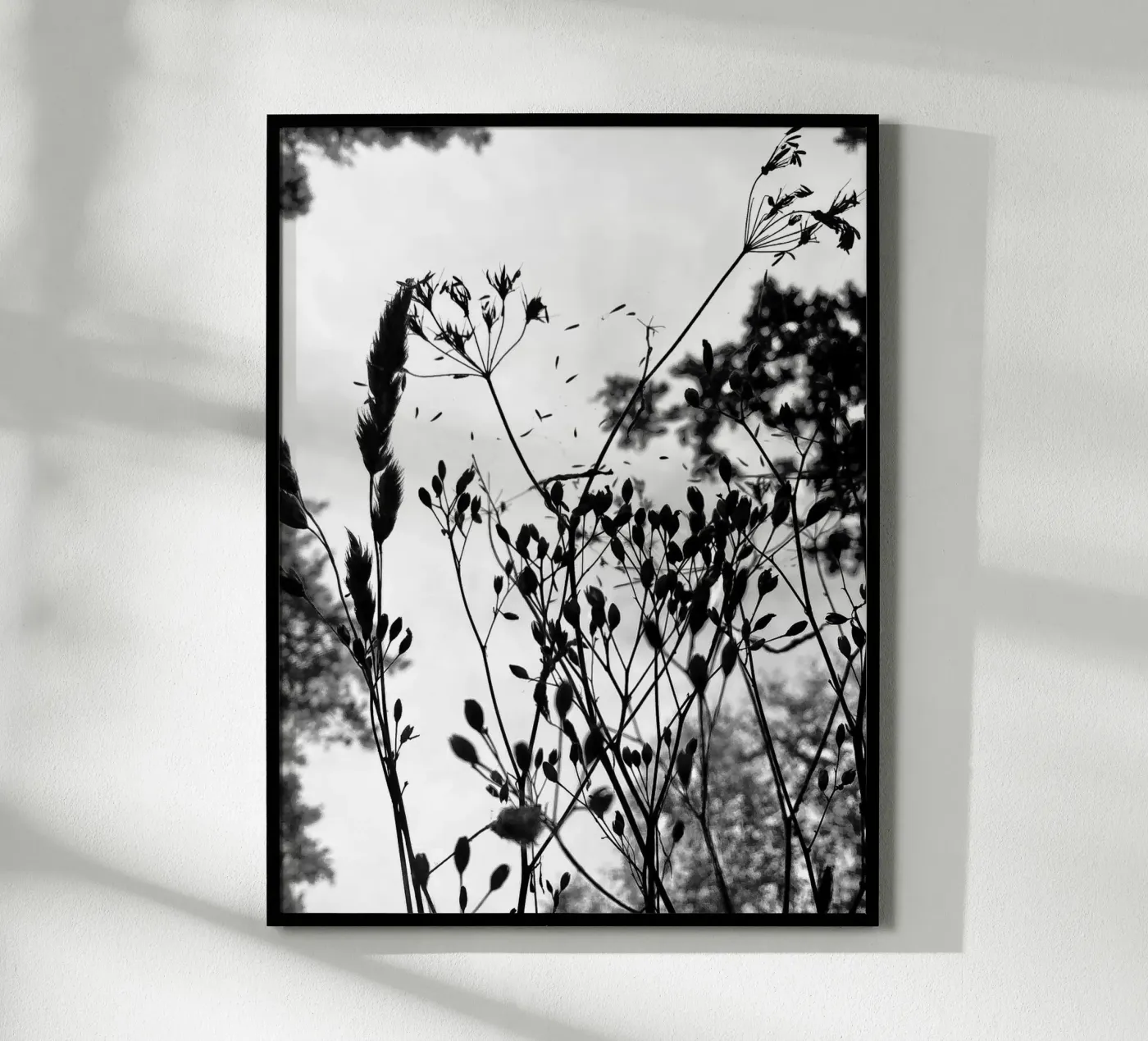 Erbe poster da SaraRosenbaum