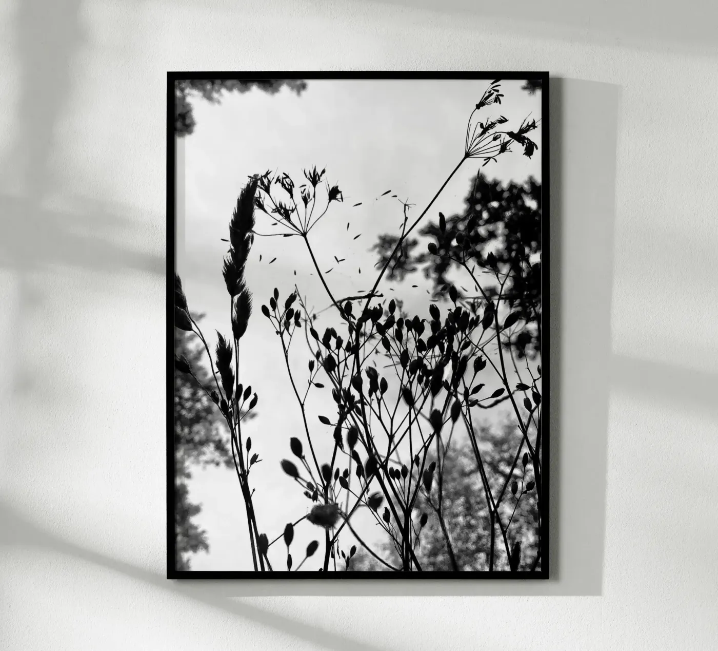 Grasses poster by SaraRosenbaum