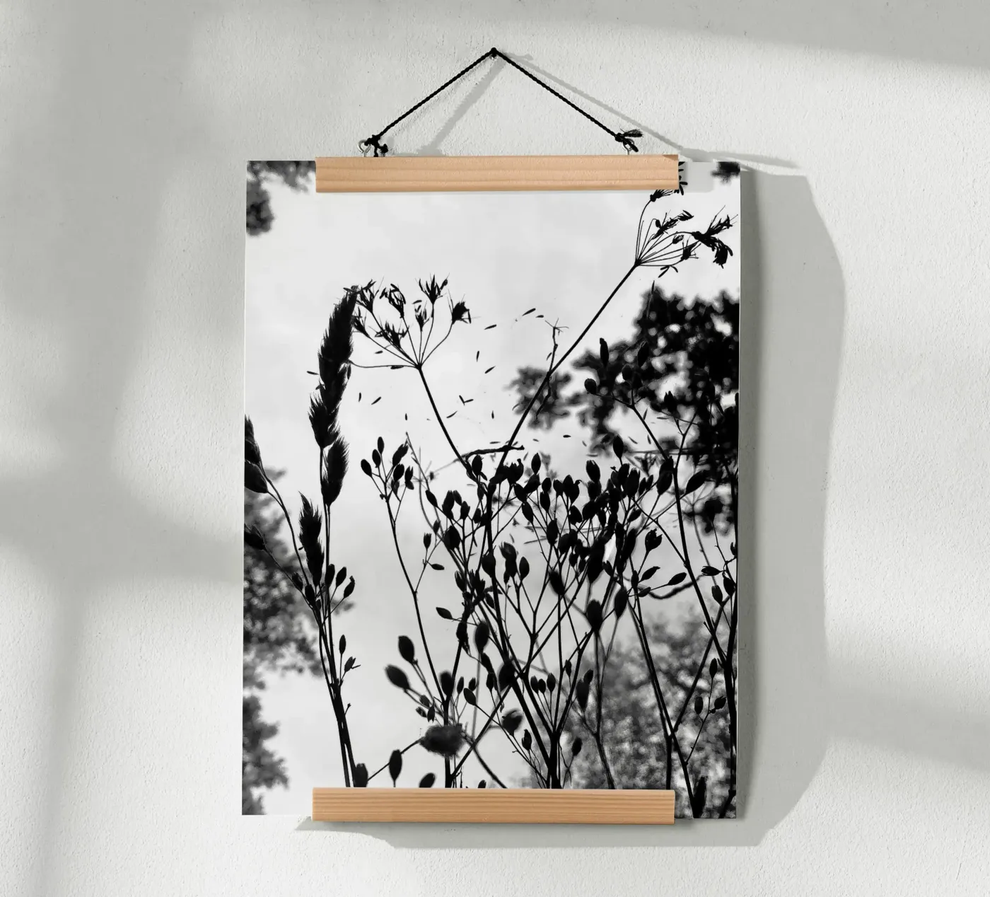Grasses poster by SaraRosenbaum