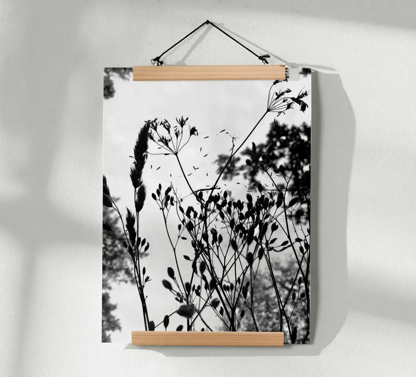 Erbe poster da SaraRosenbaum