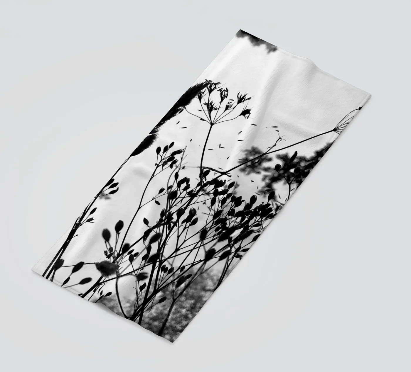 Erbe telo mare da SaraRosenbaum