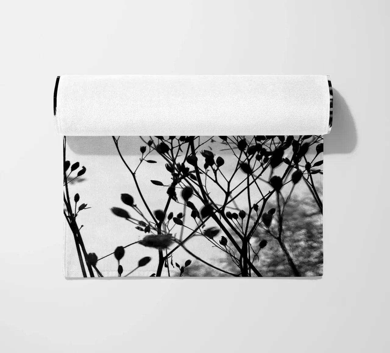 Erbe telo mare da SaraRosenbaum