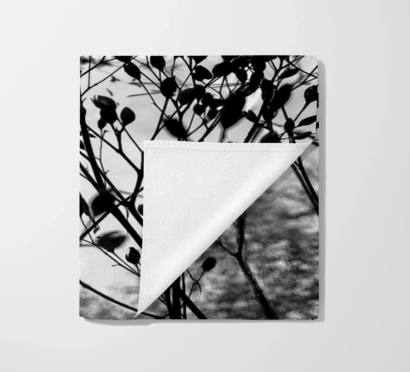 Erbe telo mare da SaraRosenbaum