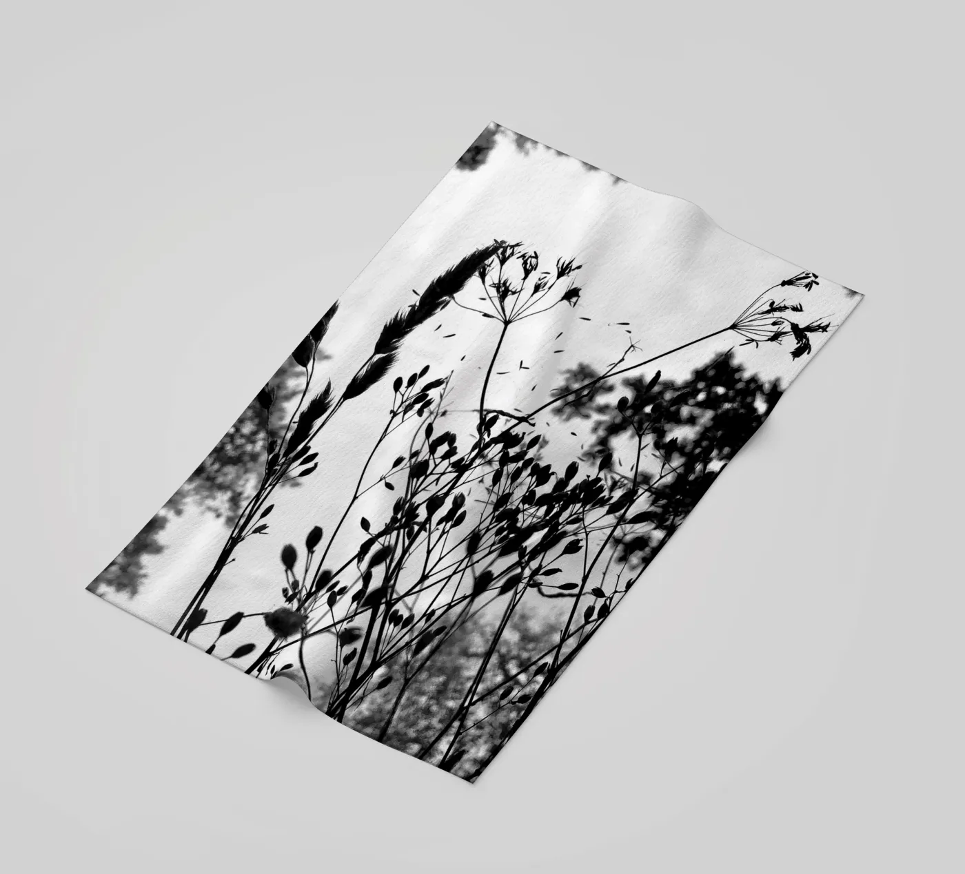 Erbe telo mare da SaraRosenbaum