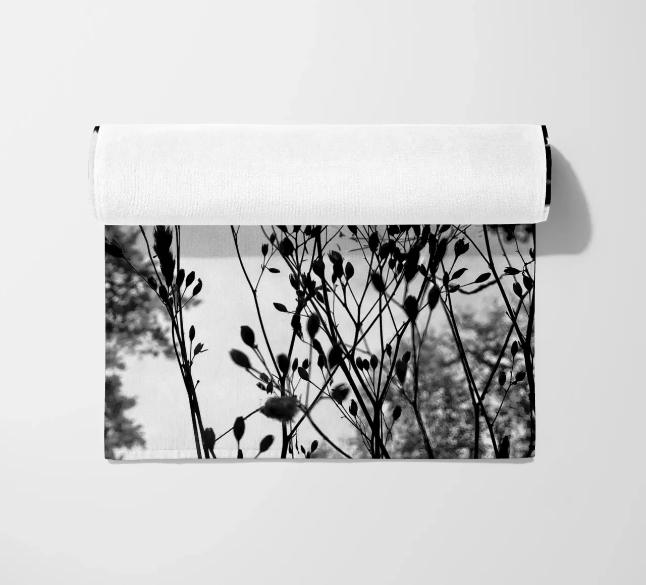 Erbe telo mare da SaraRosenbaum