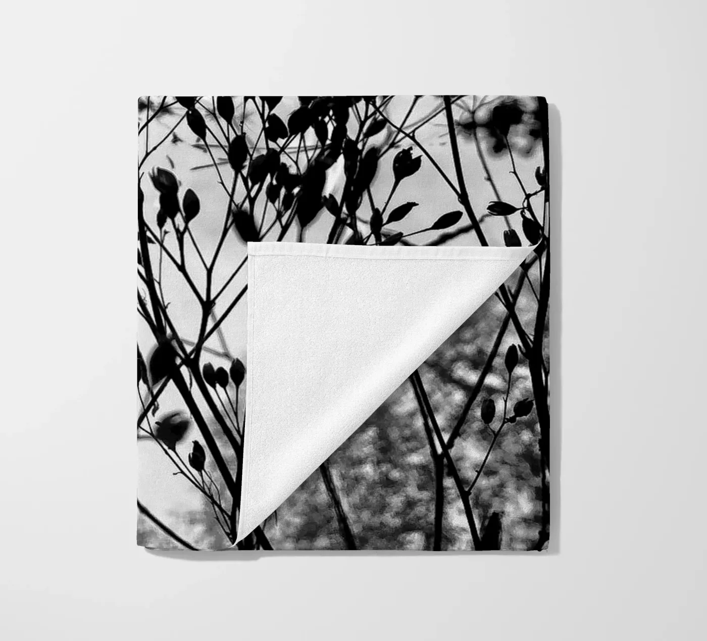 Erbe telo mare da SaraRosenbaum