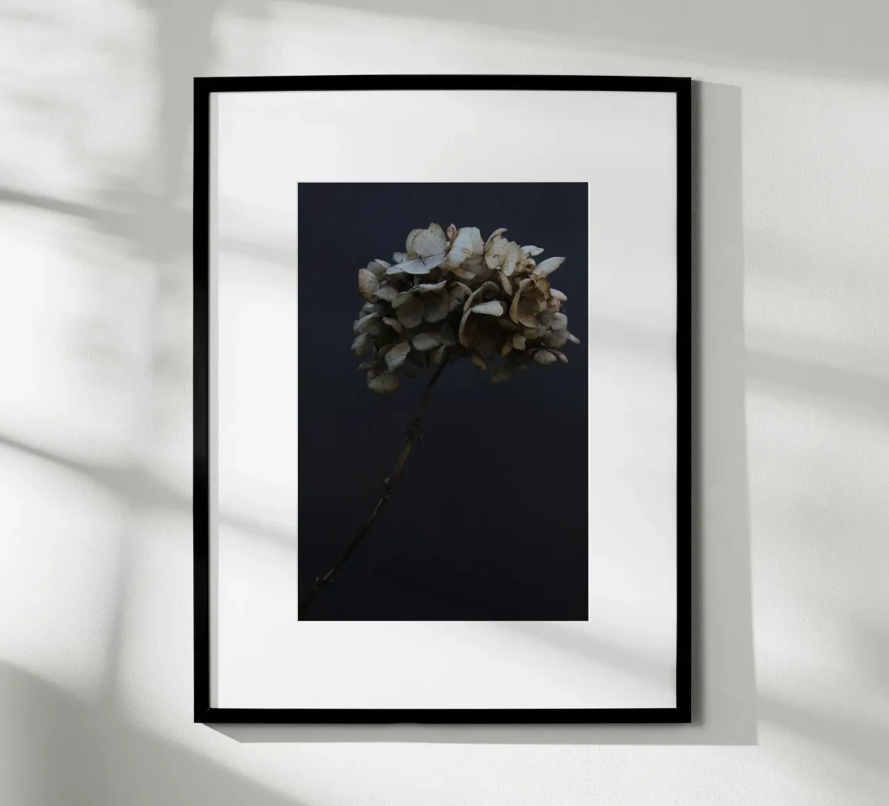Hydrangea 03 poster by Soul Traffic
