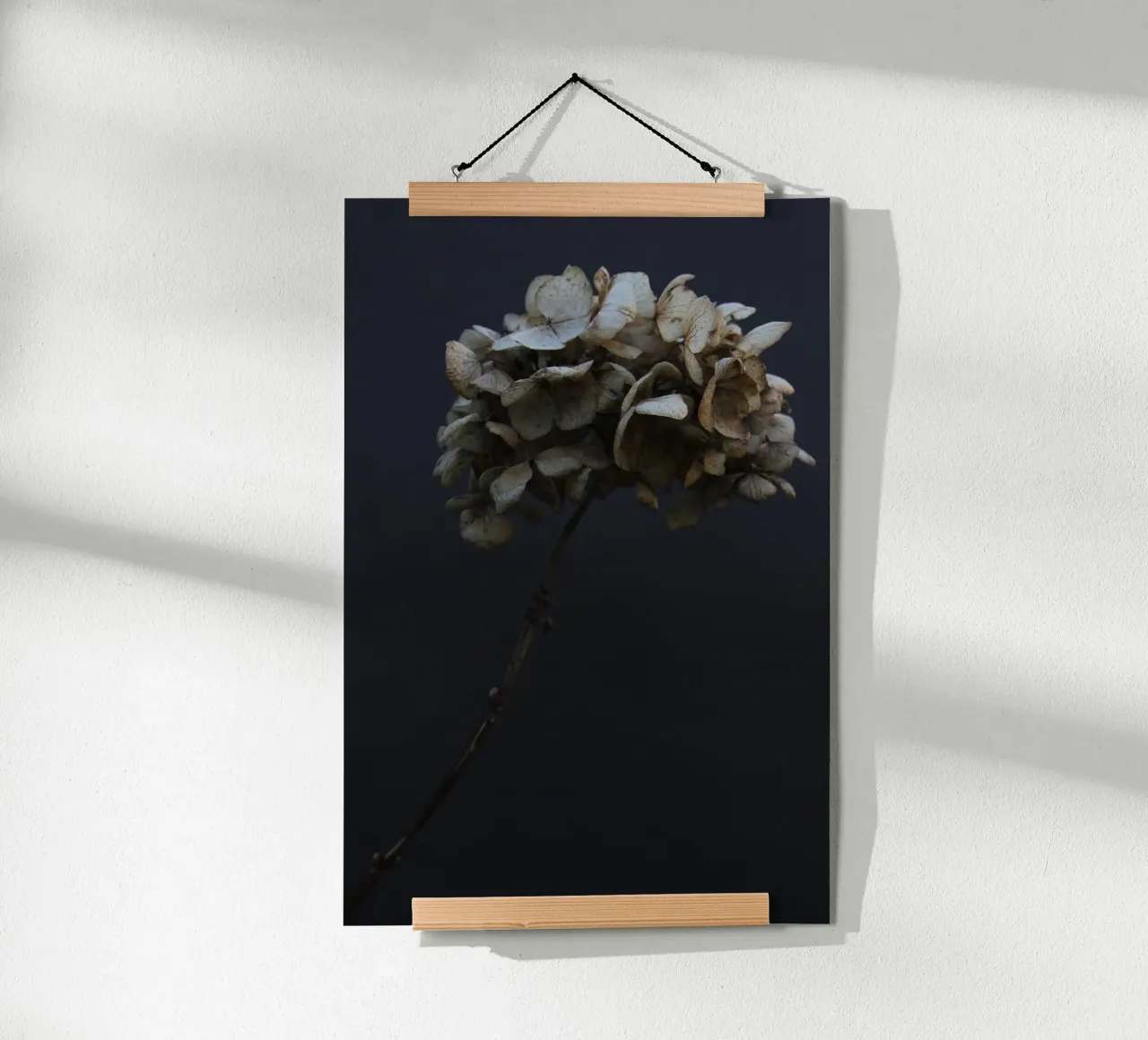 Hydrangea 03 poster by Soul Traffic