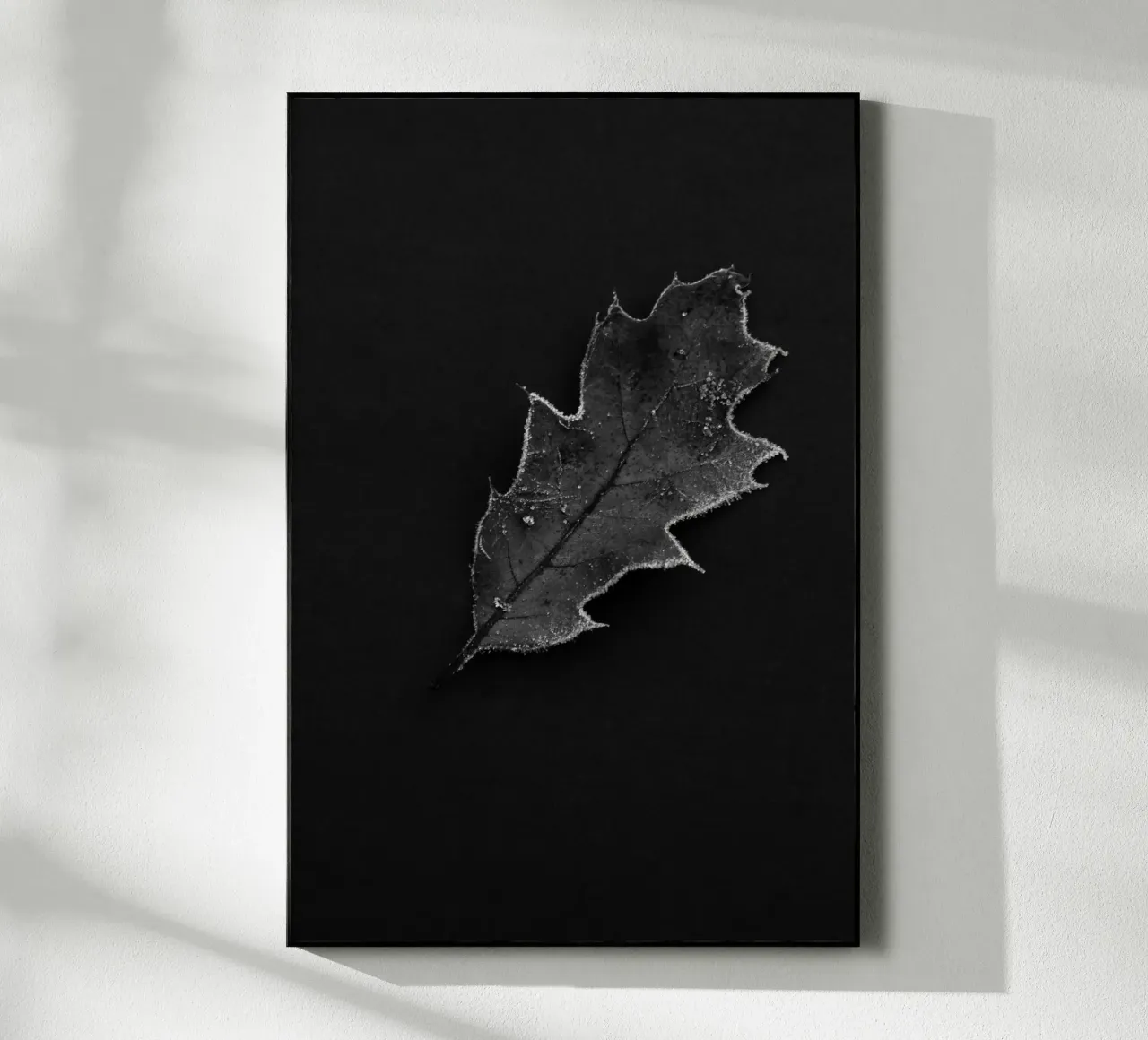 Oak leaf plexiglass da Soul Traffic