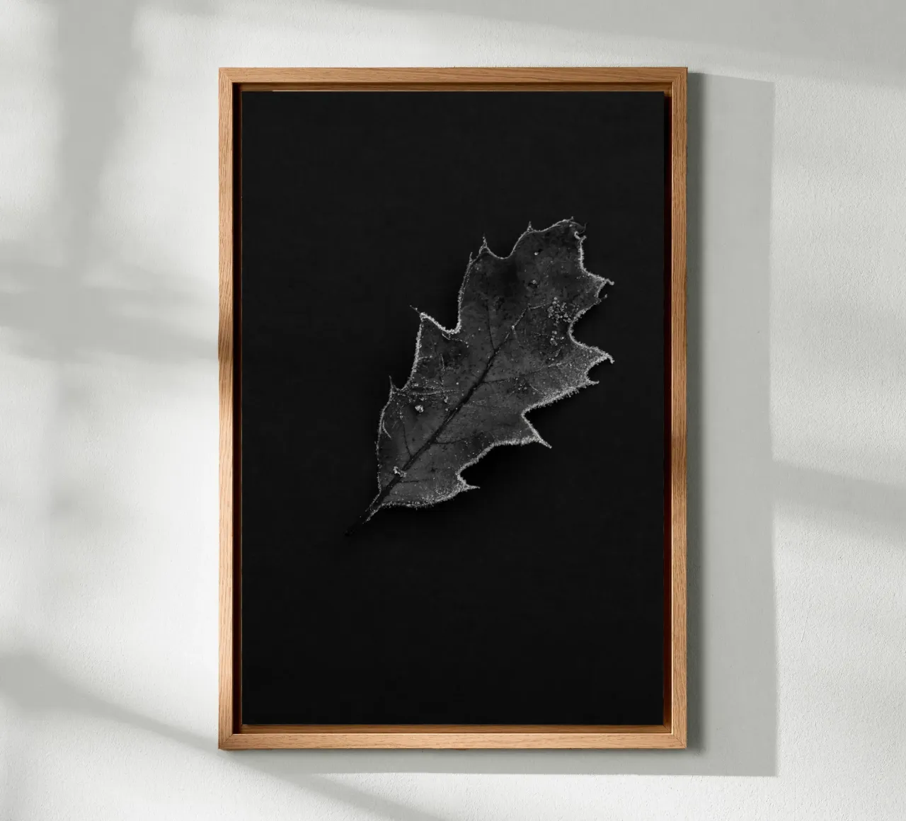 Oak leaf forex plate by Soul Traffic