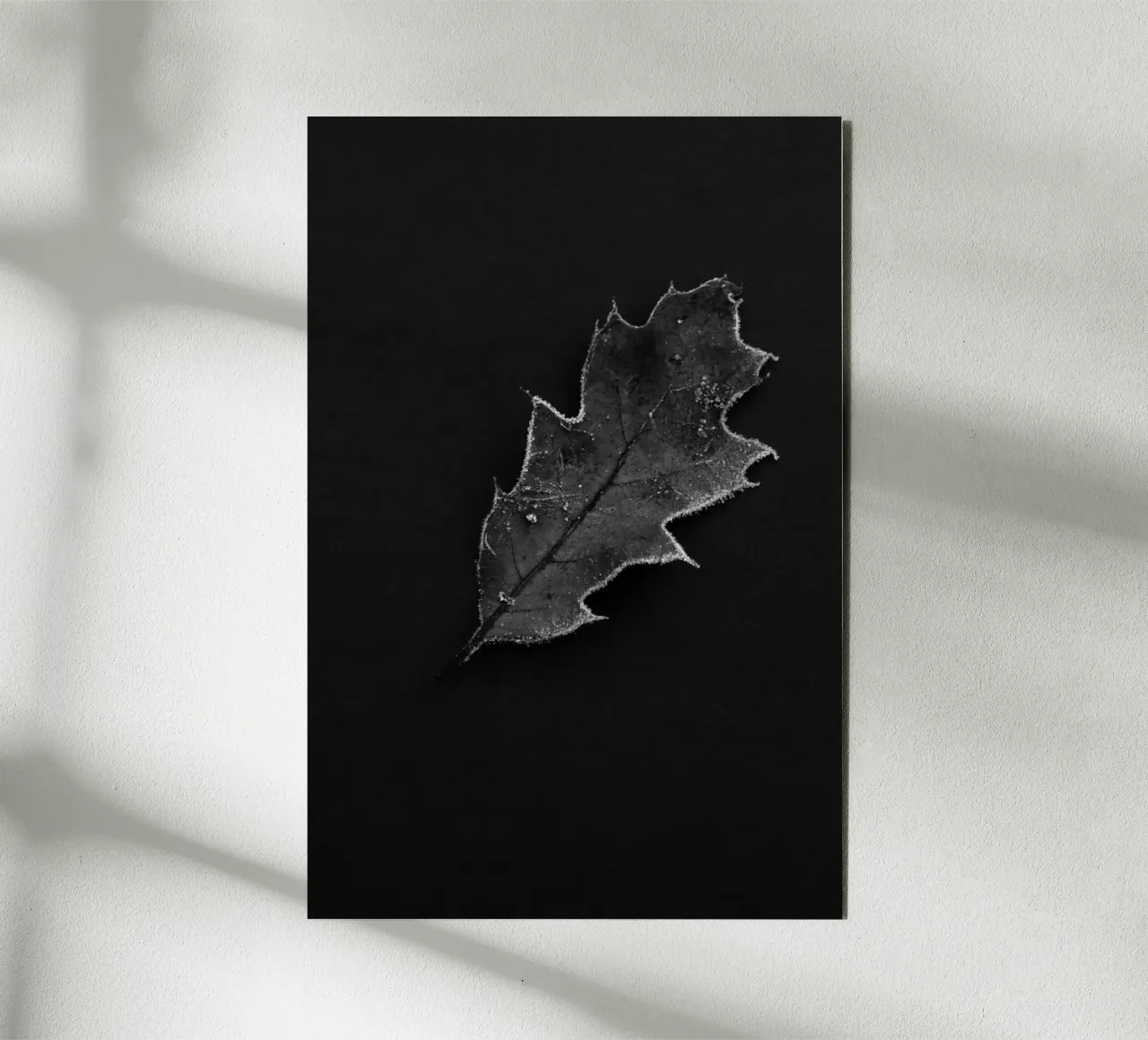 Oak leaf forex plate by Soul Traffic