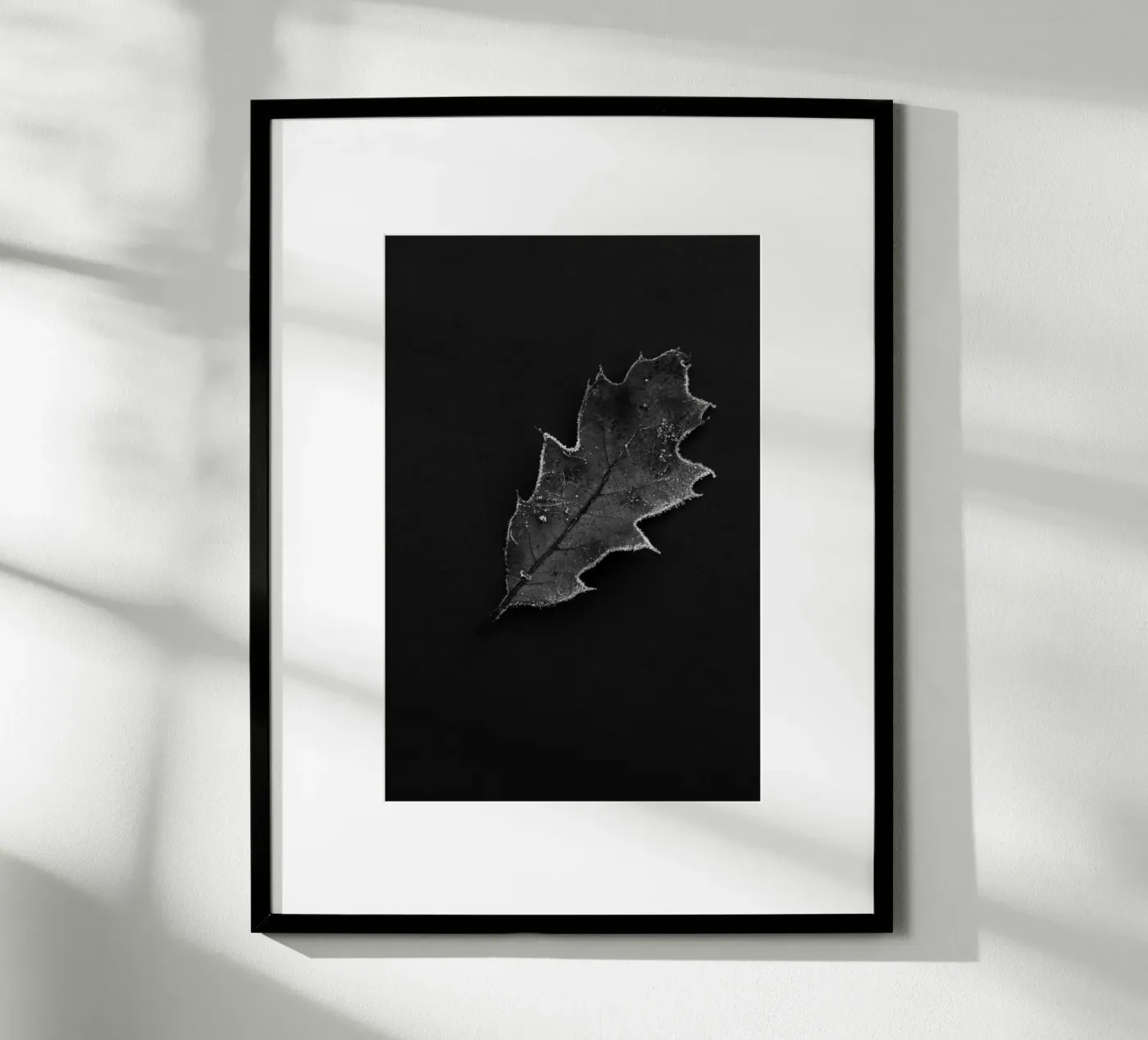 Oak leaf Poster von Soul Traffic