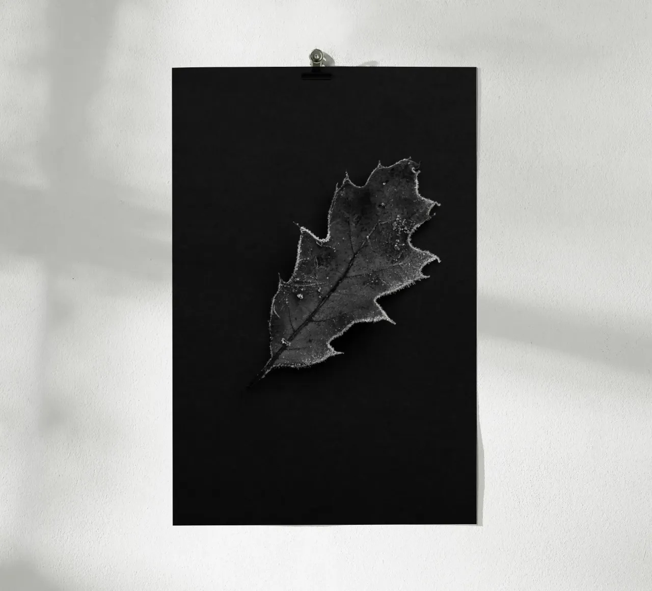 Oak leaf poster by Soul Traffic