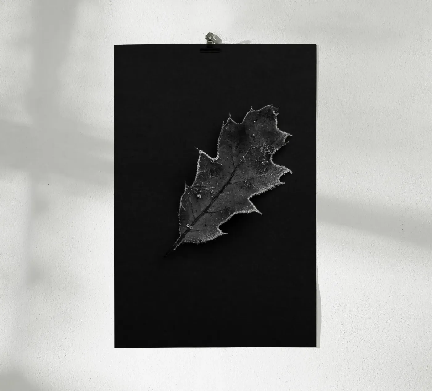 Oak leaf Poster von Soul Traffic