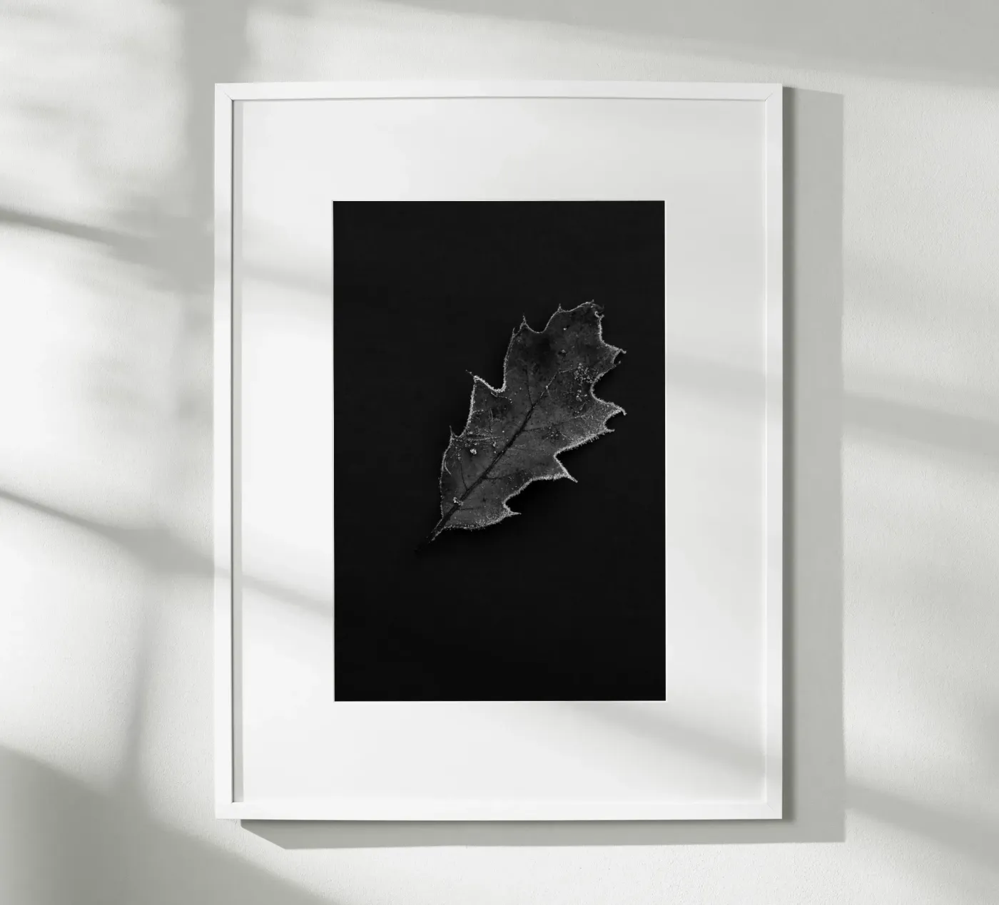 Oak leaf Poster von Soul Traffic