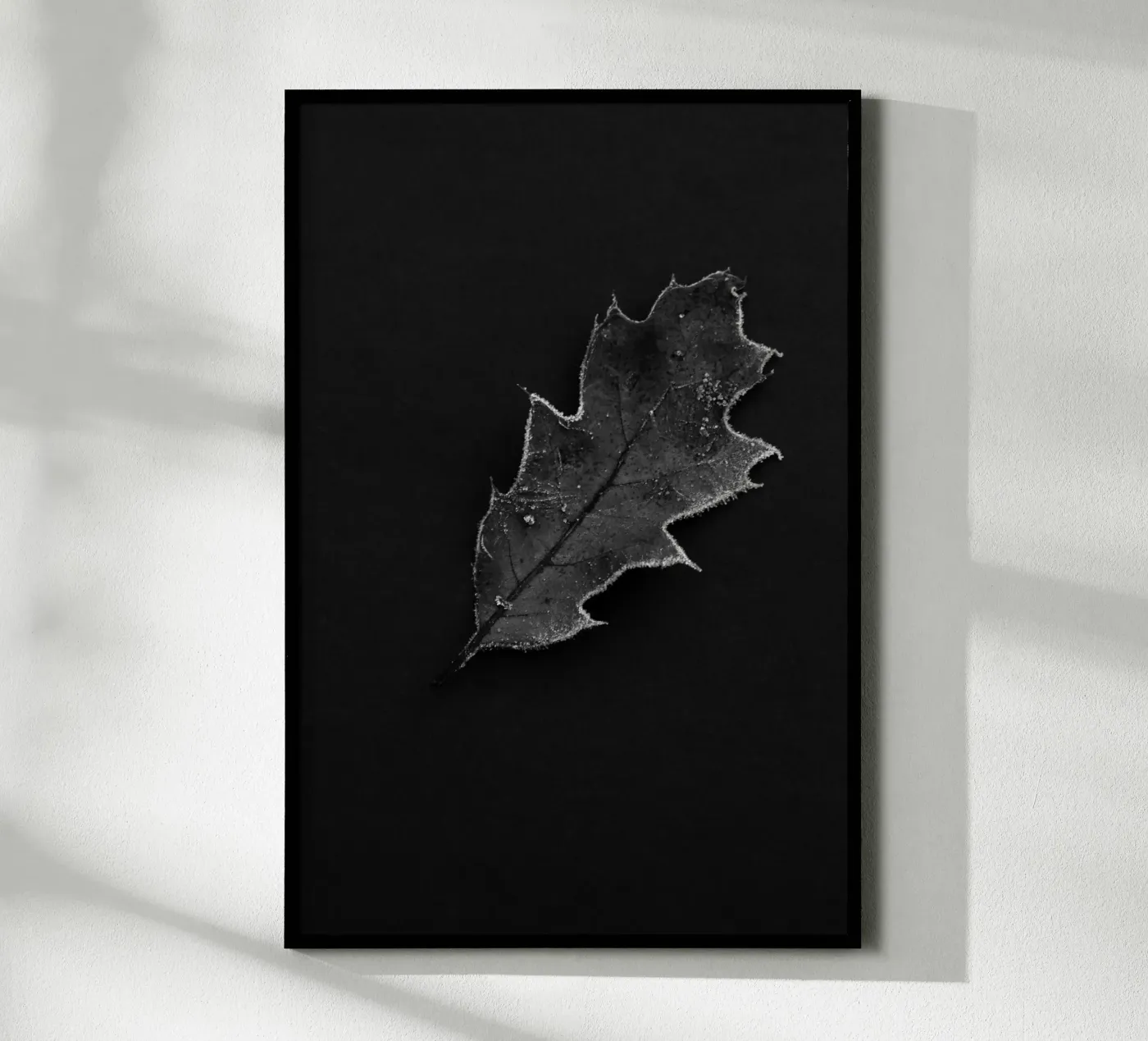 Oak leaf Poster von Soul Traffic