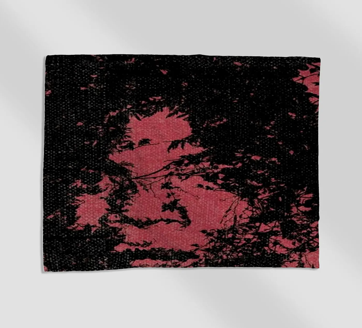 Basquiat telo mare da Carlos Quitério