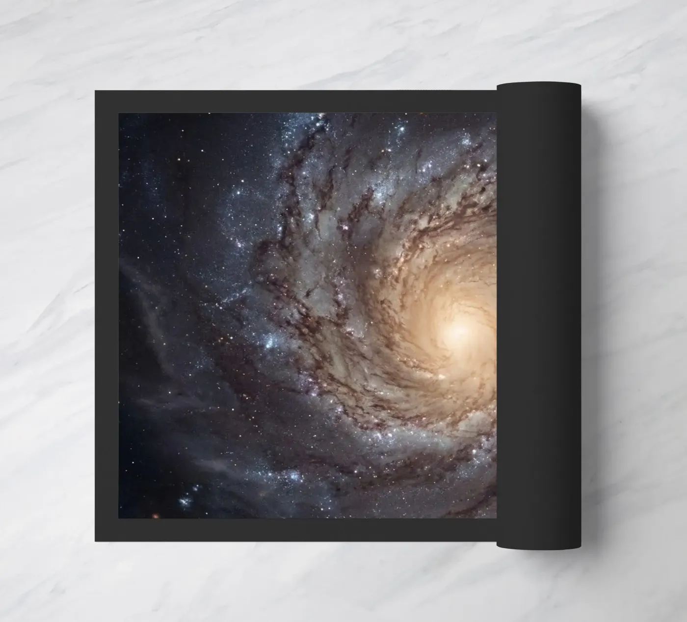 Spiral Core zerbino da Stellar Dream Art