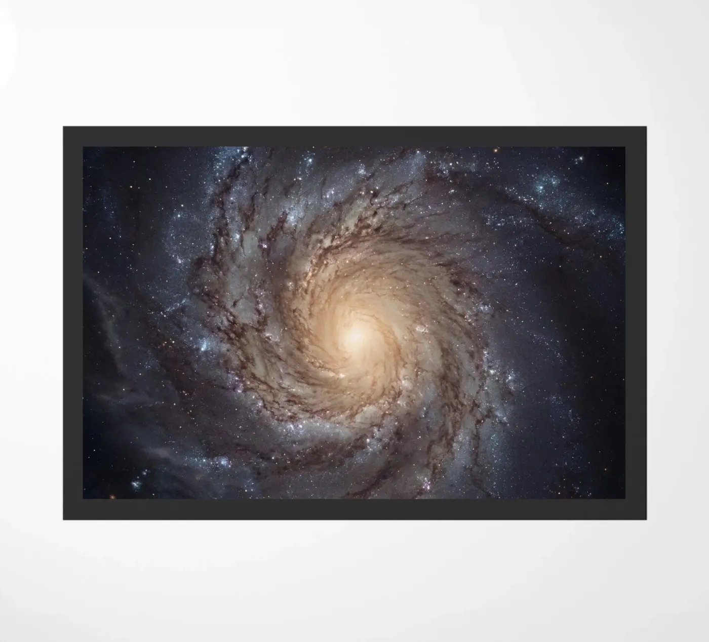 Spiral Core zerbino da Stellar Dream Art