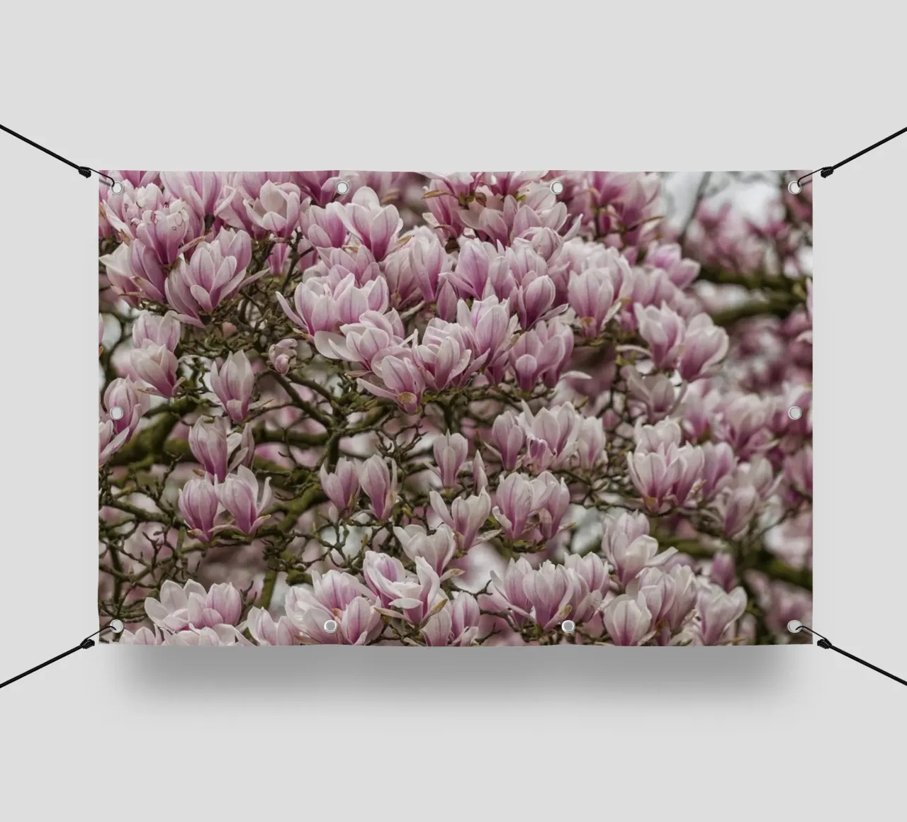 Magnolia rosa telo in pvc da Curious Collections by Marielle Leenders