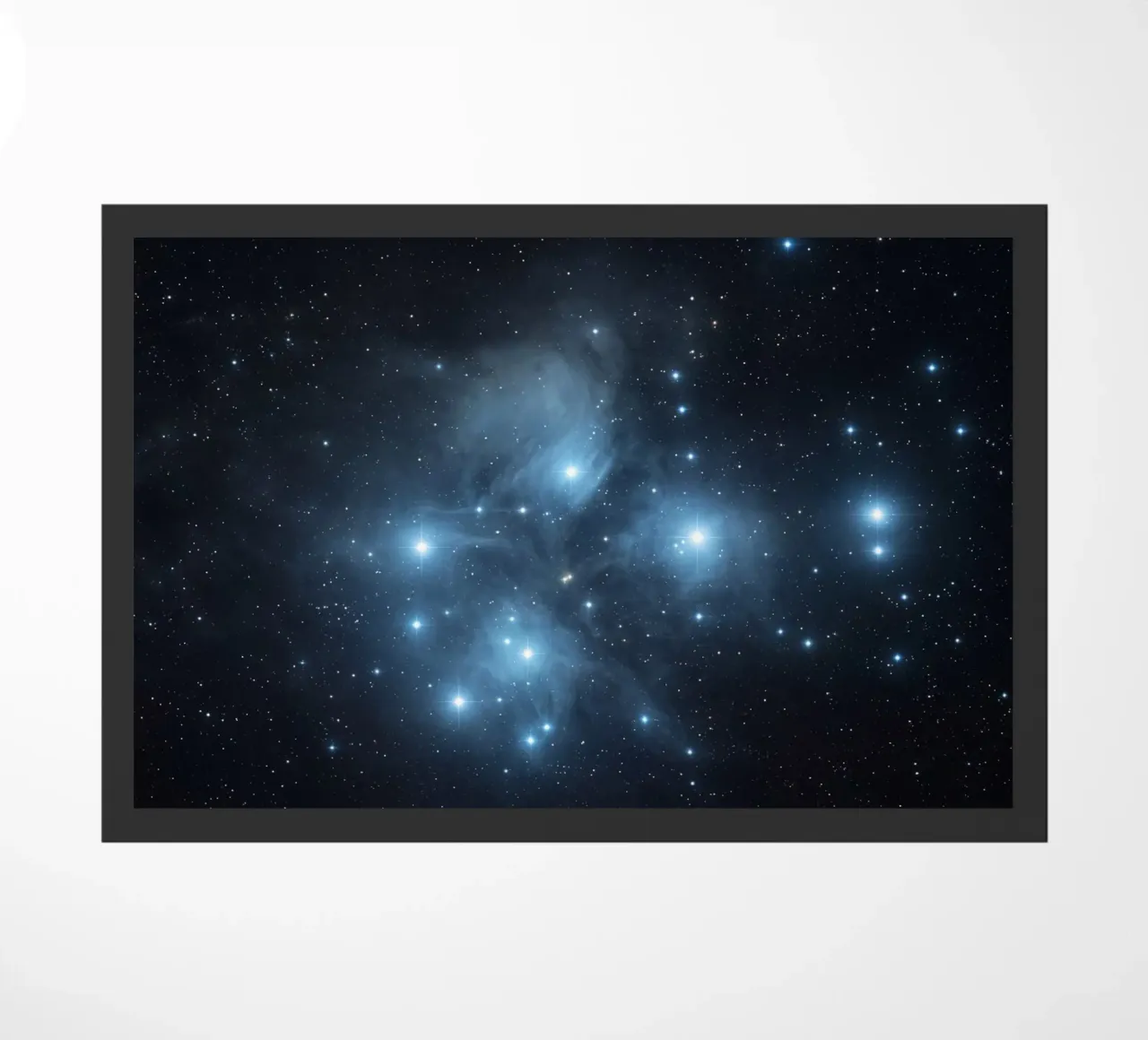 B L U E zerbino da Stellar Dream Art