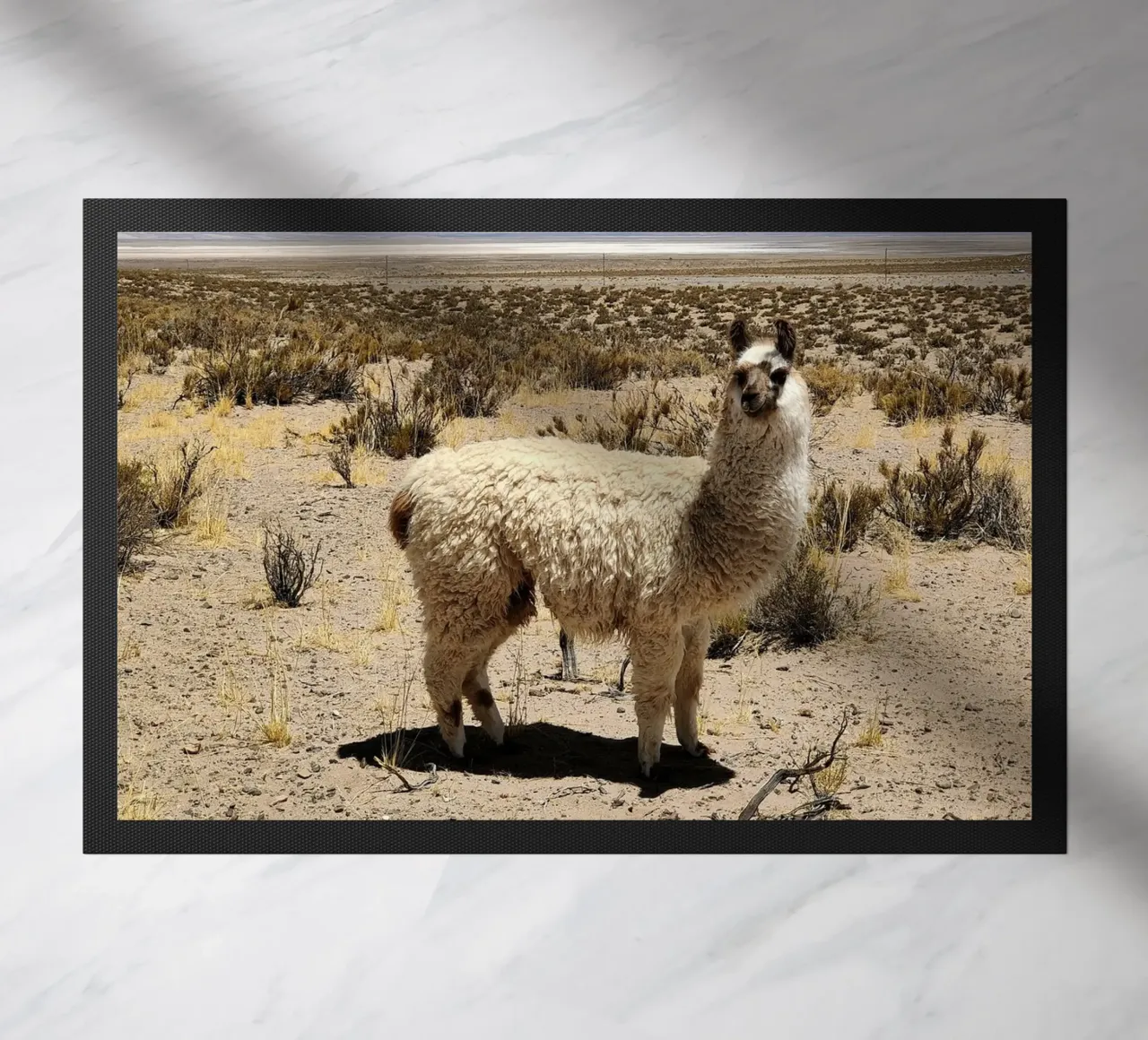 Yo soy Pascal zerbino da MARA