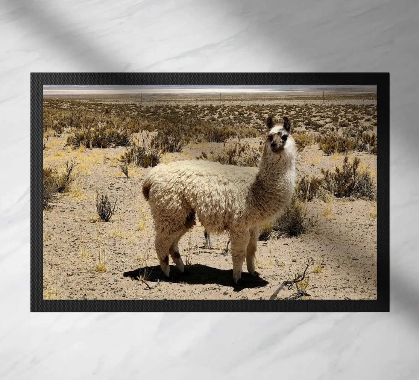 Yo soy Pascal deurmat van MARA