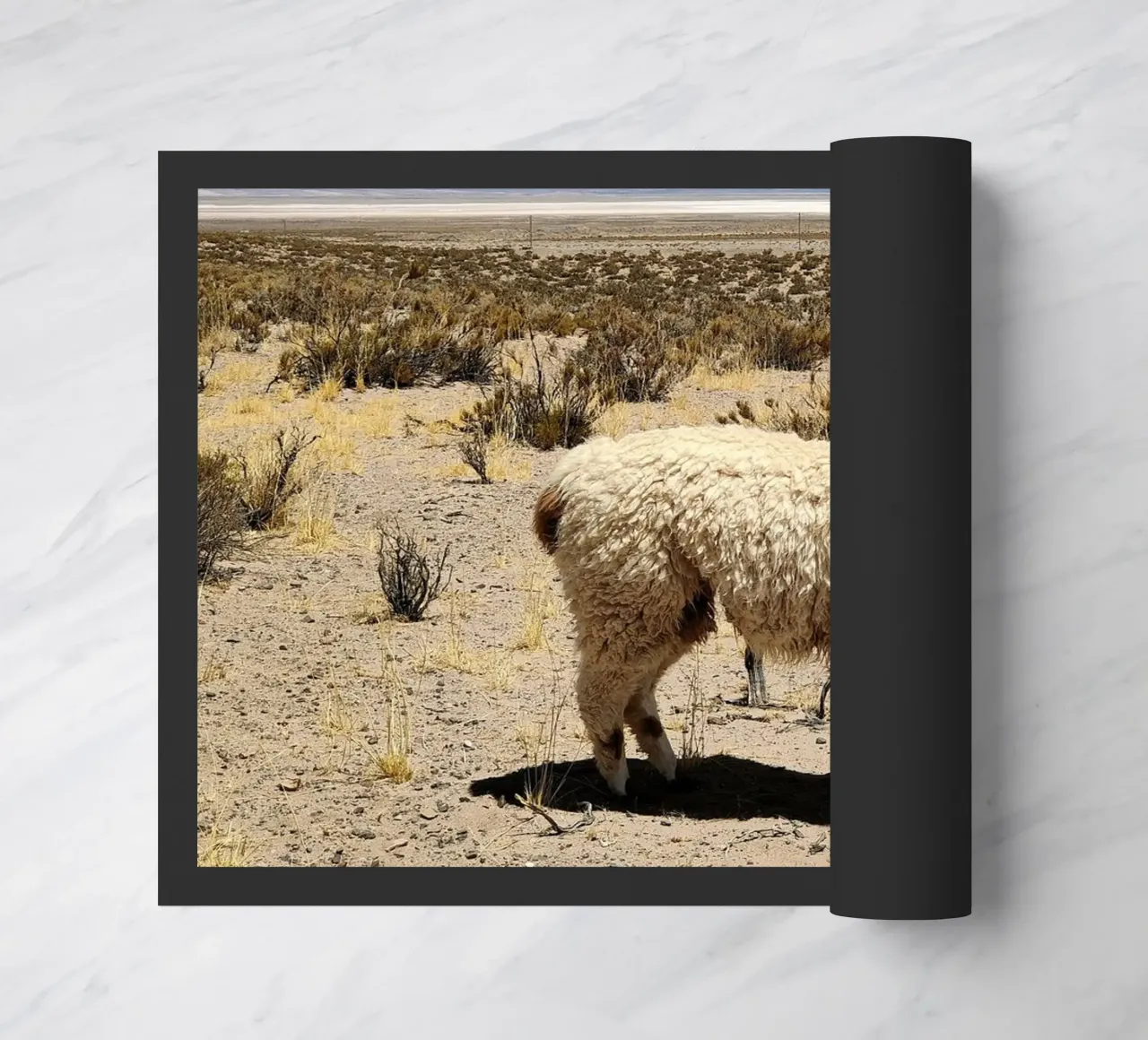 Yo soy Pascal zerbino da MARA