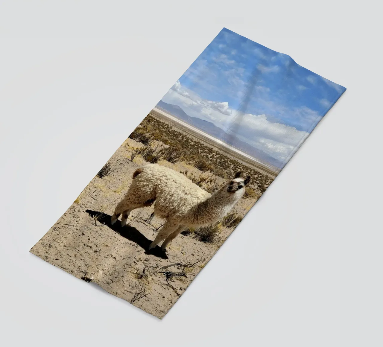 Yo soy Pascal telo mare da MARA