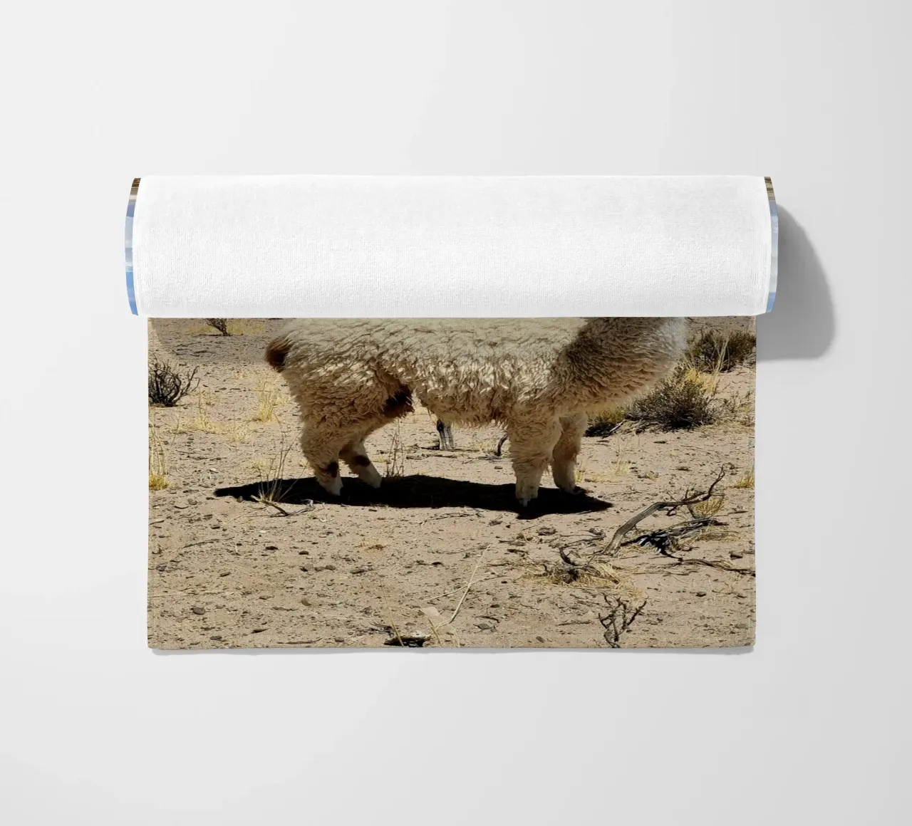 Yo soy Pascal telo mare da MARA