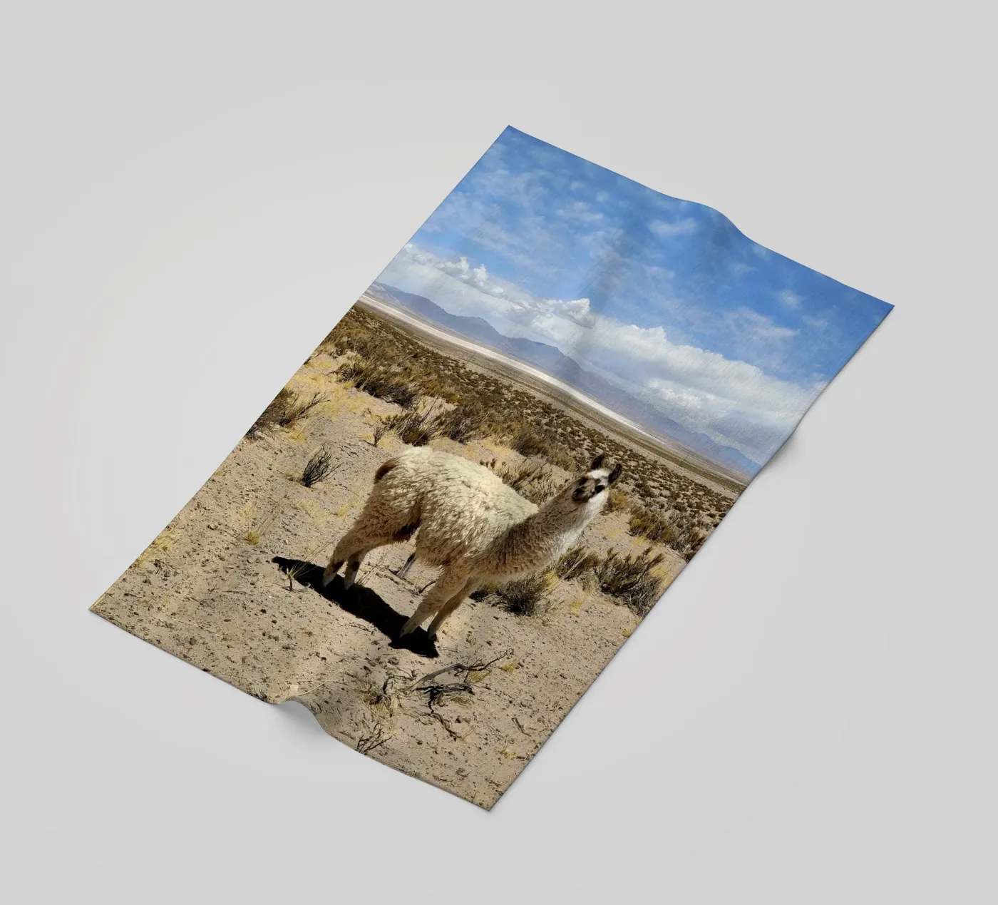 Yo soy Pascal Strandtuch von MARA