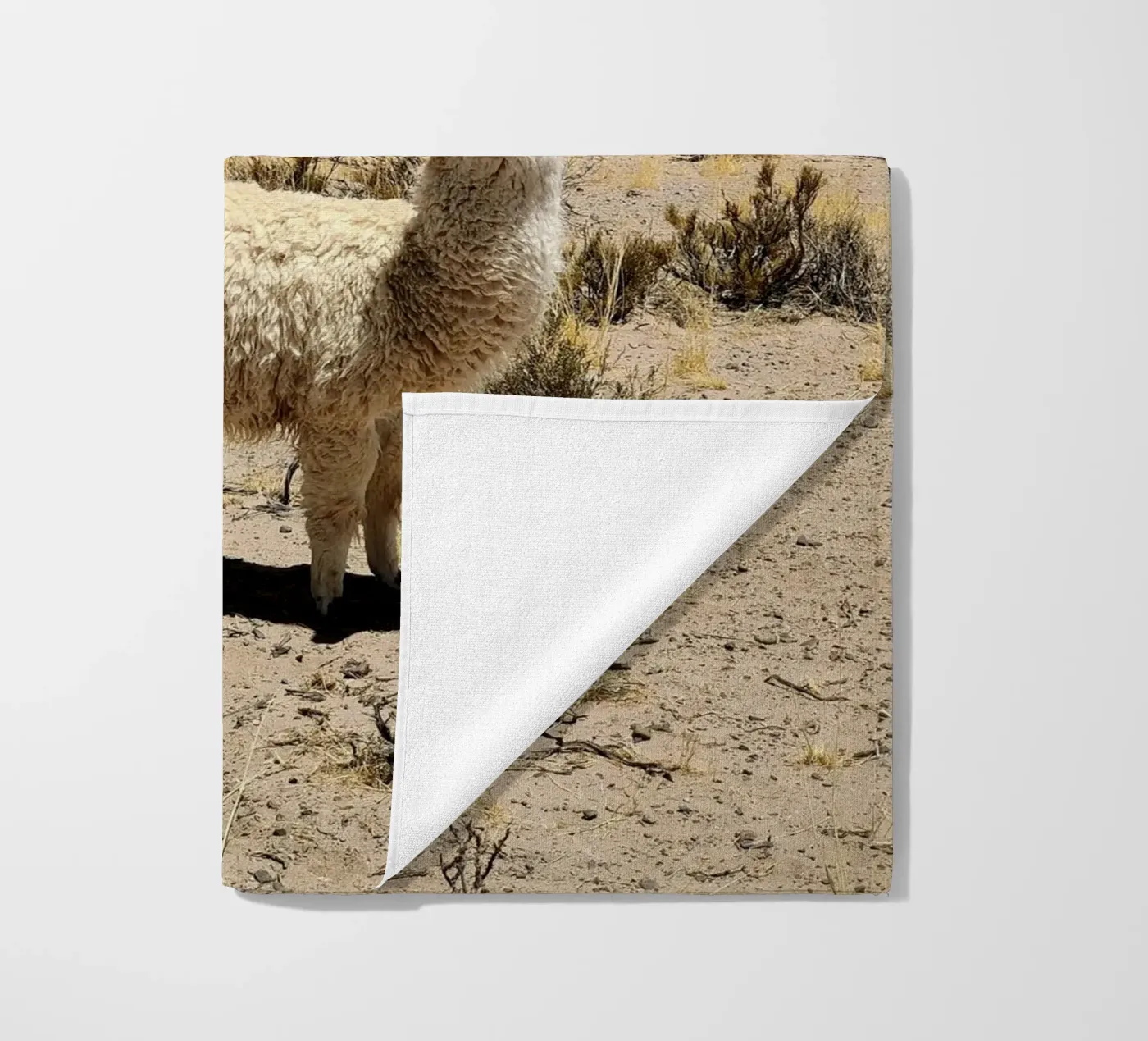 Yo soy Pascal Strandtuch von MARA