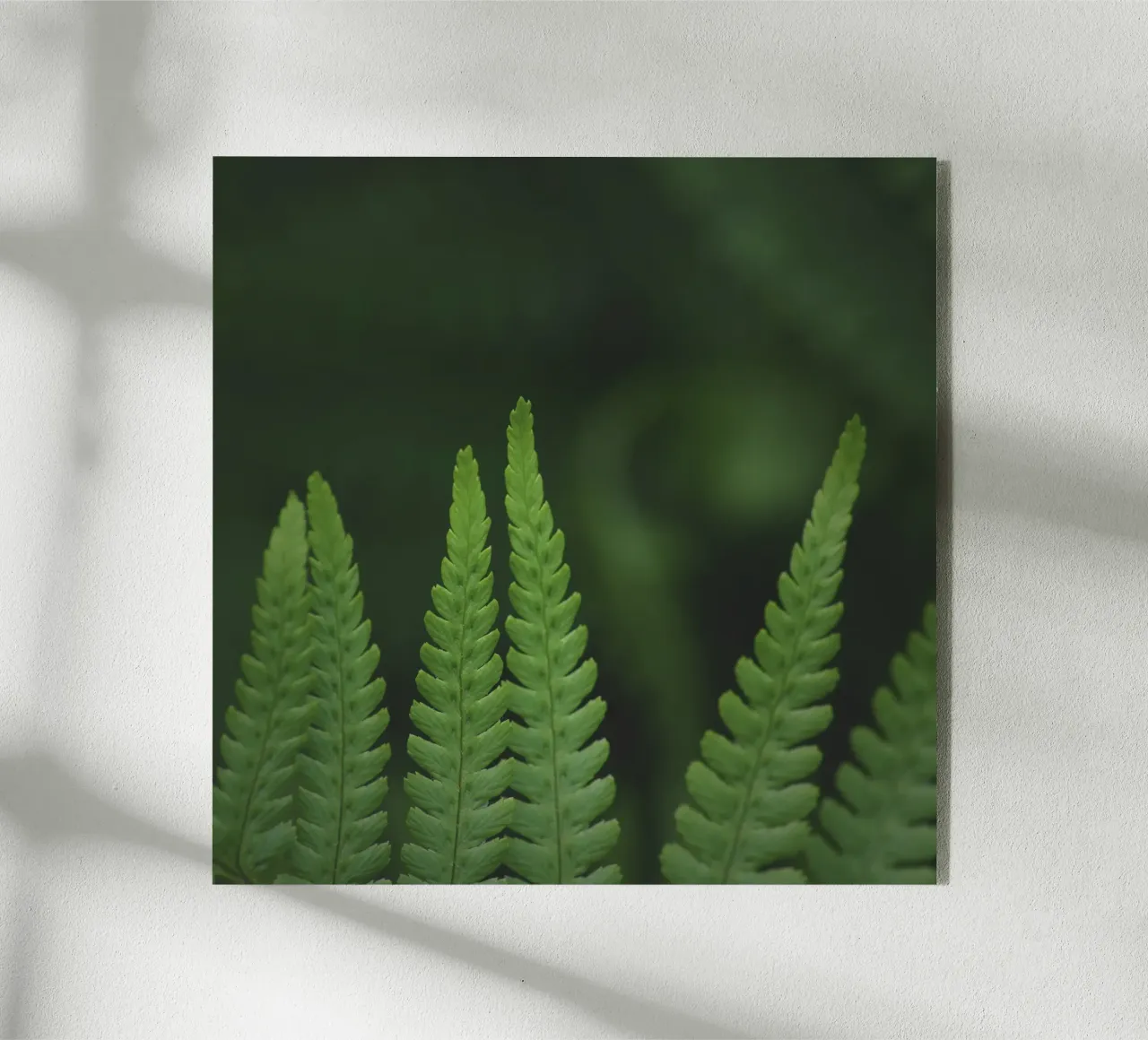 Ferntastic 02 plexiglass da Nur Mut