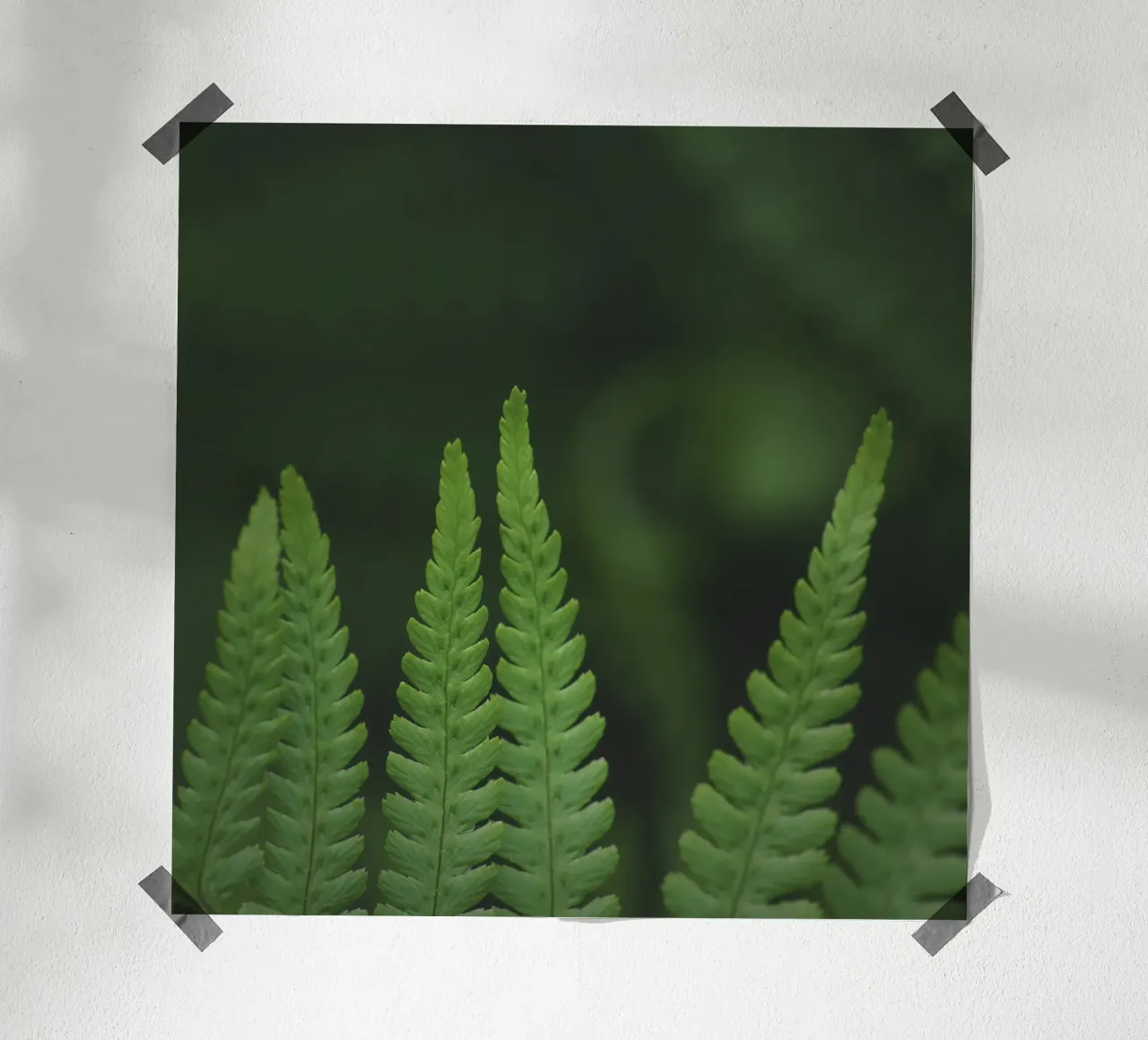 Ferntastic 02 poster da Nur Mut